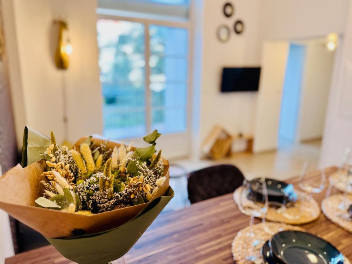 Chaleureux T2 Proche Gare Apartman Bourgoin-Jallieu Kültér fotó